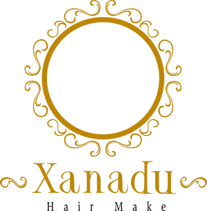 ザナドゥージャパンコンセプト