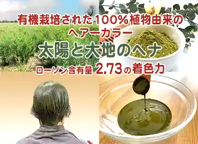 太陽と大地のヘナのご紹介