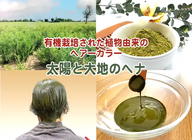 ザナドゥー莉 吾妻橋店の太陽と大地のヘナ