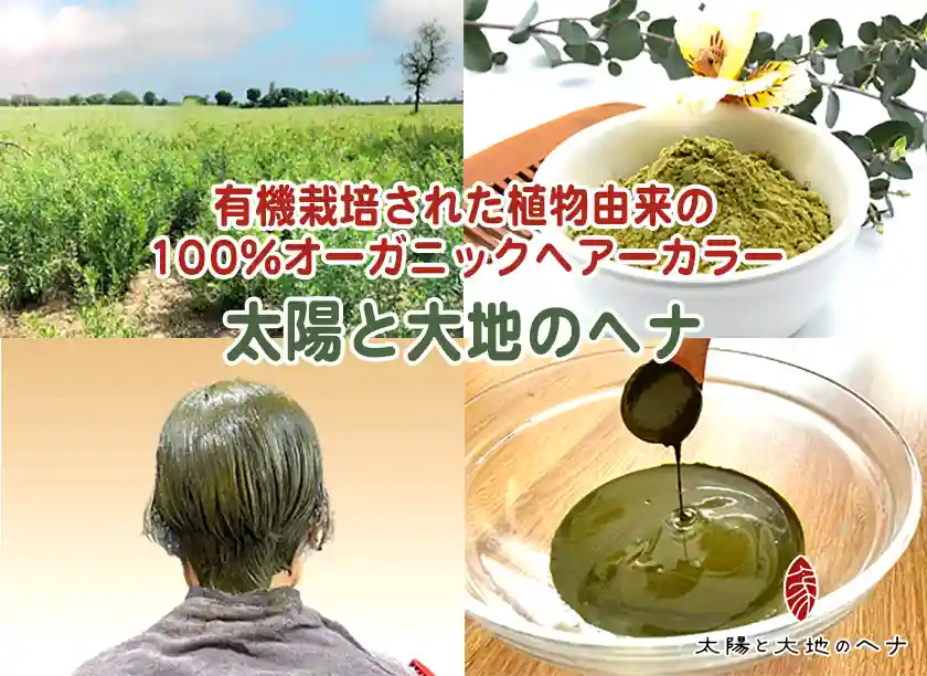 太陽と大地のヘナメニュー